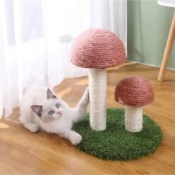 Lovely Caves Gardern Mushroom Cat Scratcher, Brown -Pet Cat Supplies Store 760822 PT2. AC SS1800 V1674852742