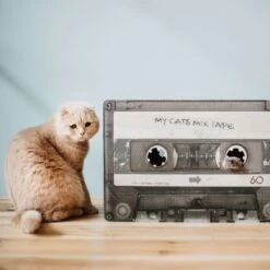 District 70 MIXTAPE Retro Cardboard Cat Scratcher, Large -Pet Cat Supplies Store 762094 PT5. AC SS1800 V1675868213