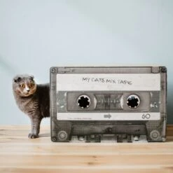 District 70 MIXTAPE Retro Cardboard Cat Scratcher, Large -Pet Cat Supplies Store 762094 PT6. AC SS1800 V1675867257