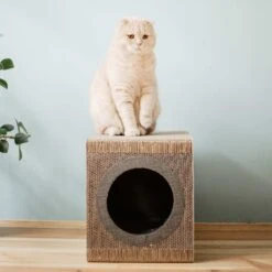 District 70 MIXTAPE Retro Cardboard Cat Scratcher, Large -Pet Cat Supplies Store 762094 PT7. AC SS1800 V1675868094