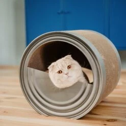 District 70 CAN Perfect Hiding Spot Funny Cat Scratcher, Grey -Pet Cat Supplies Store 762118 PT6. AC SS1800 V1675868095