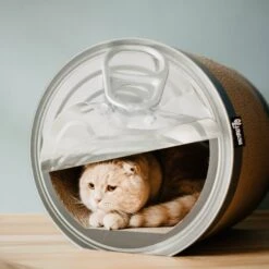 District 70 CAN Perfect Hiding Spot Funny Cat Scratcher, Grey -Pet Cat Supplies Store 762118 PT8. AC SS1800 V1675868155