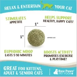 Raw Paws Compressed Catnip Ball Cat Toy, 6 Count -Pet Cat Supplies Store 777974 PT2. AC SS1800 V1676653249