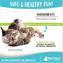 Raw Paws Compressed Catnip Ball Cat Toy, 6 Count -Pet Cat Supplies Store 777974 PT3. AC SS1800 V1676653965