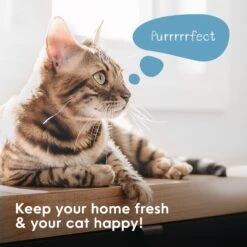 Litter Genie Plus Cat Litter Disposal System 12 Litter Genie Plus Cat Litter Disposal System -Pet Cat Supplies Store 780782 PT3. AC SS1800 V1684609649