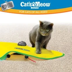 Cat's Meow Motorized Chaser Cat Toy -Pet Cat Supplies Store 804382 PT6. AC SS1800 V1678741860