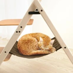 Richell Cat Foldable Ladder -Pet Cat Supplies Store 812206 PT3. AC SS1800 V1679500243