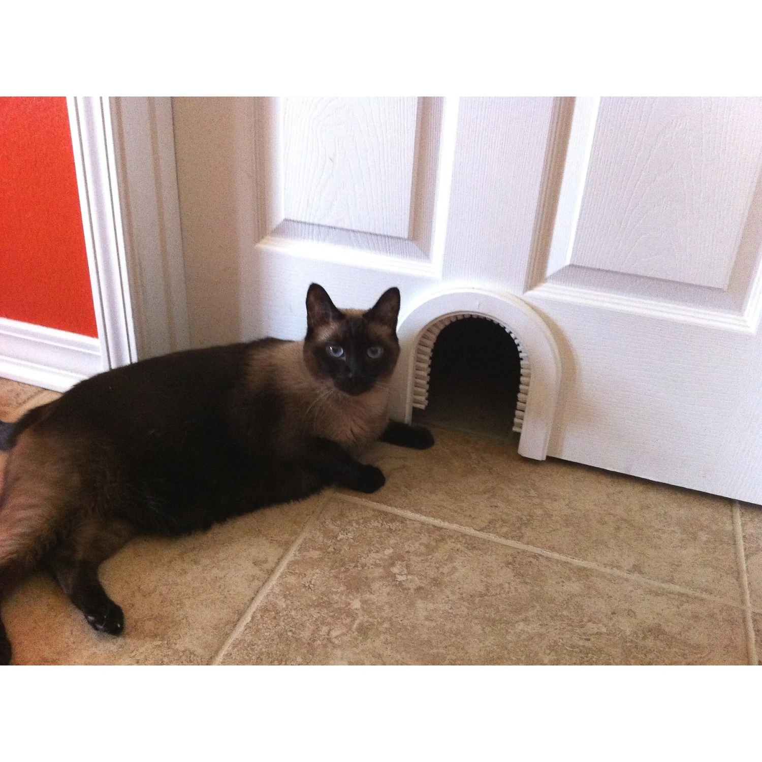 Cathole Cat Door With Brush 2 Cathole Cat Door With Brush - Image 2