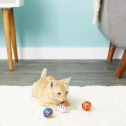 Hartz Just For Cats Bizzy Balls Cat Toy -Pet Cat Supplies Store 82852 PT2. AC SS1800 V1589229079