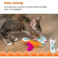 Catstages Festival-Themed Interactive Plush Catnip Cat Toy, Multicolor, 3 Count -Pet Cat Supplies Store 837526 PT3. AC SS1800 V1681834965