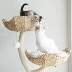 Mau Lifestyle Ivy 3, 53-in Modern Cat Tree, Natural -Pet Cat Supplies Store 842054 PT2. AC SS1800 V1682609109