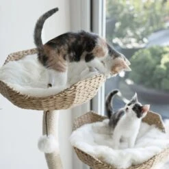 Mau Lifestyle Ivy 3, 53-in Modern Cat Tree, Natural -Pet Cat Supplies Store 842054 PT3. AC SS1800 V1682609109