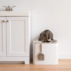 IRIS USA Premium Square Top Entry Cat Litter Box With Scoop, White & Gray, Large 14 IRIS USA Premium Square Top Entry Cat Litter Box With Scoop, White & Gray, Large -Pet Cat Supplies Store 846654 PT5. AC SS1800 V1683835834