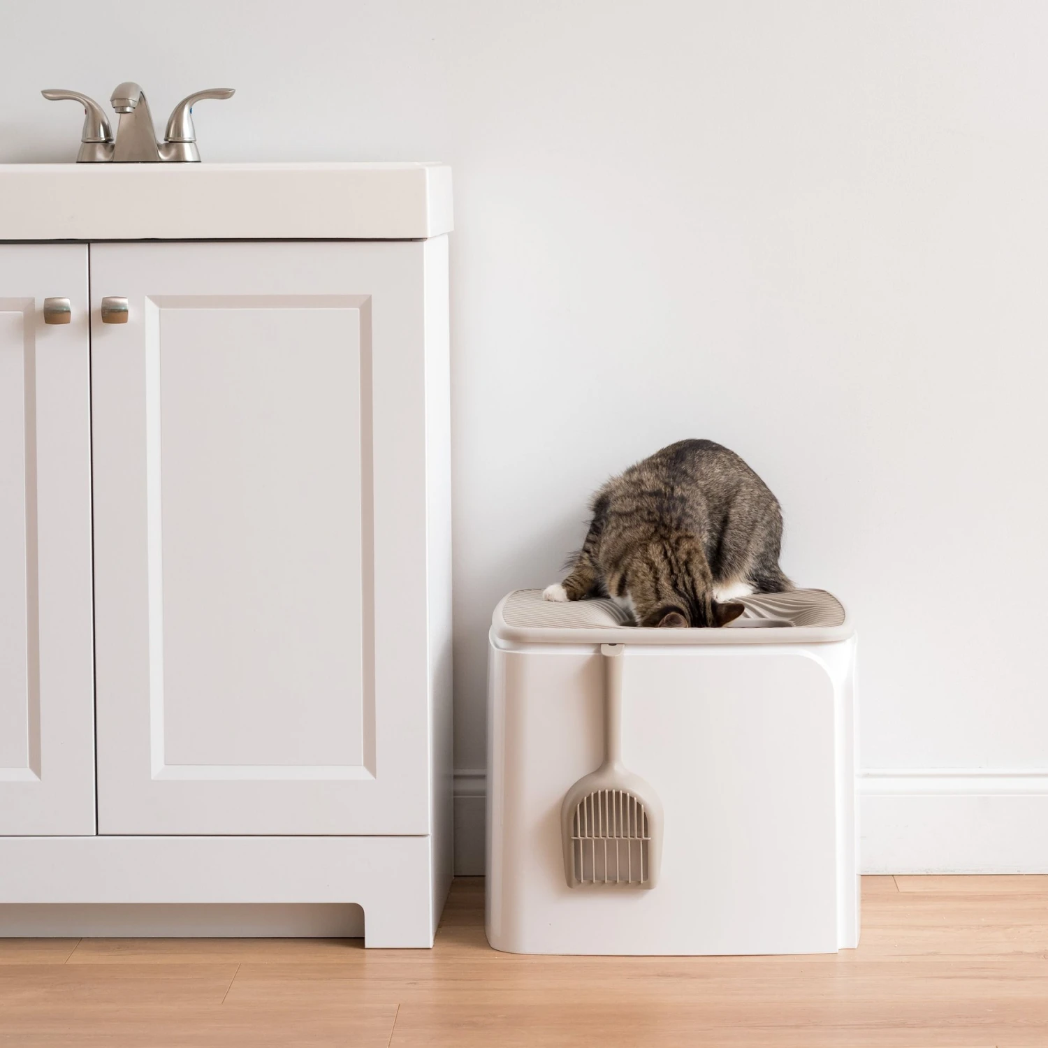 IRIS USA Premium Square Top Entry Cat Litter Box With Scoop, White & Gray, Large 6 IRIS USA Premium Square Top Entry Cat Litter Box With Scoop, White & Gray, Large - Image 6