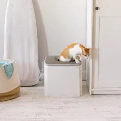 IRIS USA Premium Square Top Entry Cat Litter Box With Scoop, White & Gray, Large 15 IRIS USA Premium Square Top Entry Cat Litter Box With Scoop, White & Gray, Large -Pet Cat Supplies Store 846654 PT6. AC SS1800 V1683834958