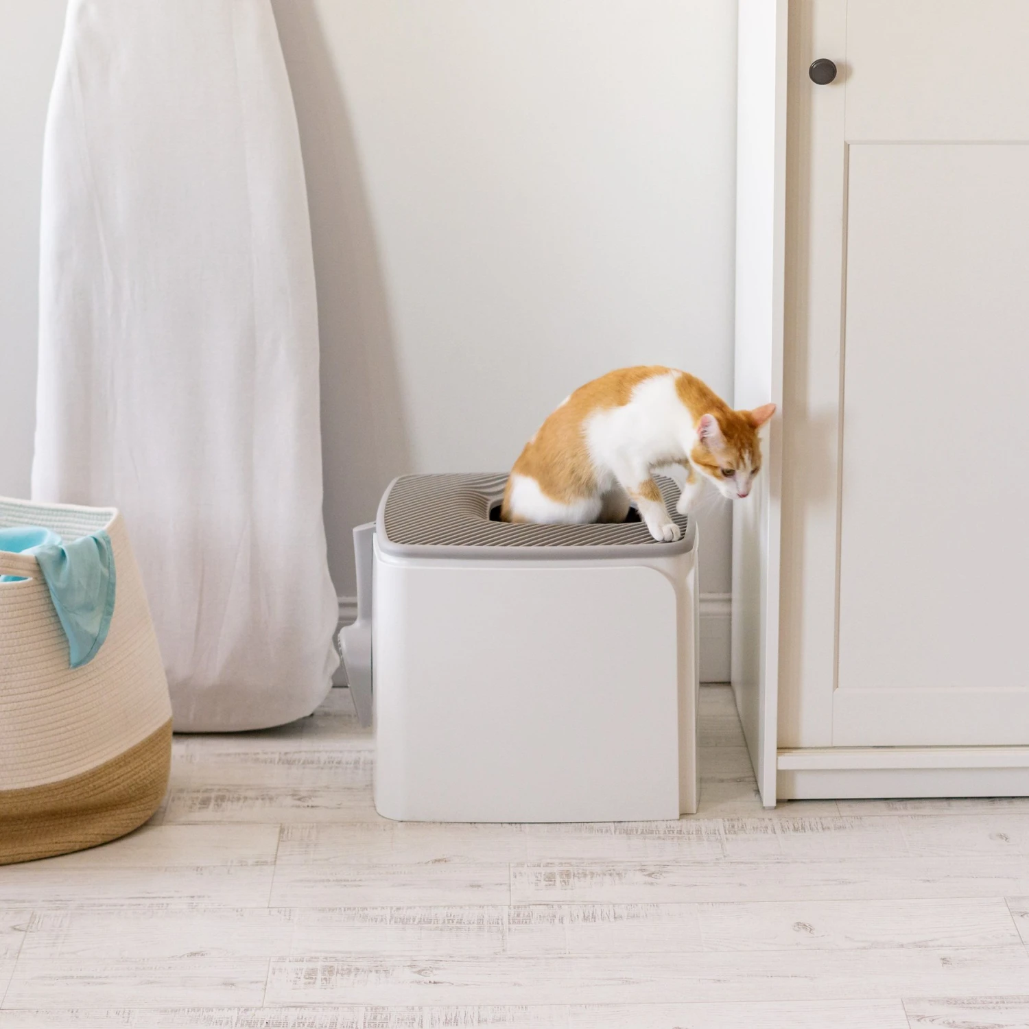 IRIS USA Premium Square Top Entry Cat Litter Box With Scoop, White & Gray, Large 7 IRIS USA Premium Square Top Entry Cat Litter Box With Scoop, White & Gray, Large - Image 7