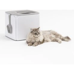 IRIS USA Premium Square Top Entry Cat Litter Box With Scoop, White & Gray, Large 17 IRIS USA Premium Square Top Entry Cat Litter Box With Scoop, White & Gray, Large -Pet Cat Supplies Store 846654 PT8. AC SS1800 V1683211470
