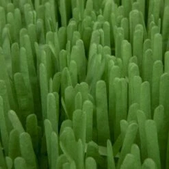 SmartyKat Instincts Meadow Mayhem Paper Grass Hide & Seek Cat Toy, 2-pack 13 SmartyKat Instincts Meadow Mayhem Paper Grass Hide & Seek Cat Toy, 2-pack -Pet Cat Supplies Store 847238 PT6. AC SS1800 V1683728572