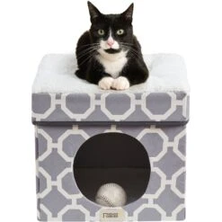 Friends Forever Taylor Collapsible Cube Cat House & Ottoman, Grey
