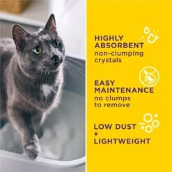 Tidy Cats Alert Health Monitoring Unscented Non-Clumping Cat Litter, 8-lb Bag -Pet Cat Supplies Store 871510 PT3. AC SS1800 V1700256917