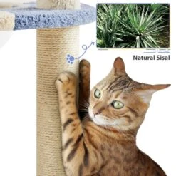 Yaheetech 35.5-in Cat Tree With Space Capsule, Small, Blue & Beige -Pet Cat Supplies Store 871726 PT7. AC SS1800 V1686247335