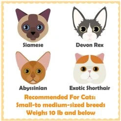 Yaheetech 4-Level Cat Tree, 56.5-in, Medium, Light Gray 10 Yaheetech 4-Level Cat Tree, 56.5-in, Medium, Light Gray -Pet Cat Supplies Store 871774 PT3. AC SS1800 V1686249829