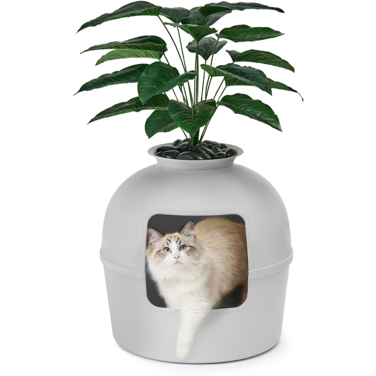 Bundle & Bliss Secret Litter Box Hidden Cat Litter Box Plant 1 Bundle & Bliss Secret Litter Box Hidden Cat Litter Box Plant
