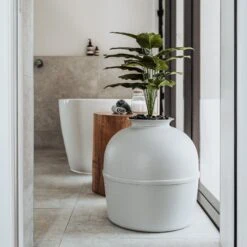 Bundle & Bliss Secret Litter Box Hidden Cat Litter Box Plant 11 Bundle & Bliss Secret Litter Box Hidden Cat Litter Box Plant -Pet Cat Supplies Store 897430 PT2. AC SS1800 V1687891879