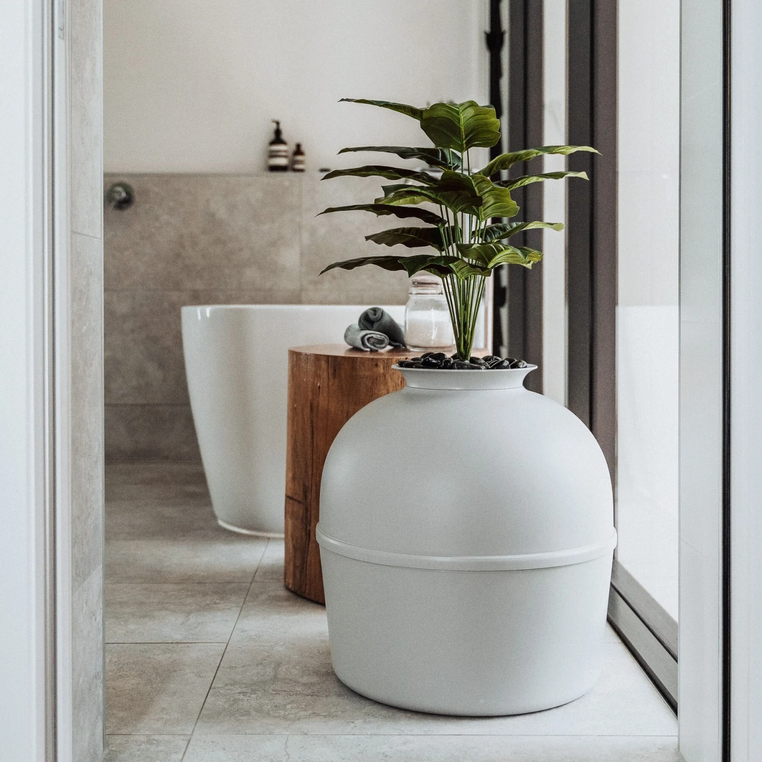 Bundle & Bliss Secret Litter Box Hidden Cat Litter Box Plant 3 Bundle & Bliss Secret Litter Box Hidden Cat Litter Box Plant - Image 3