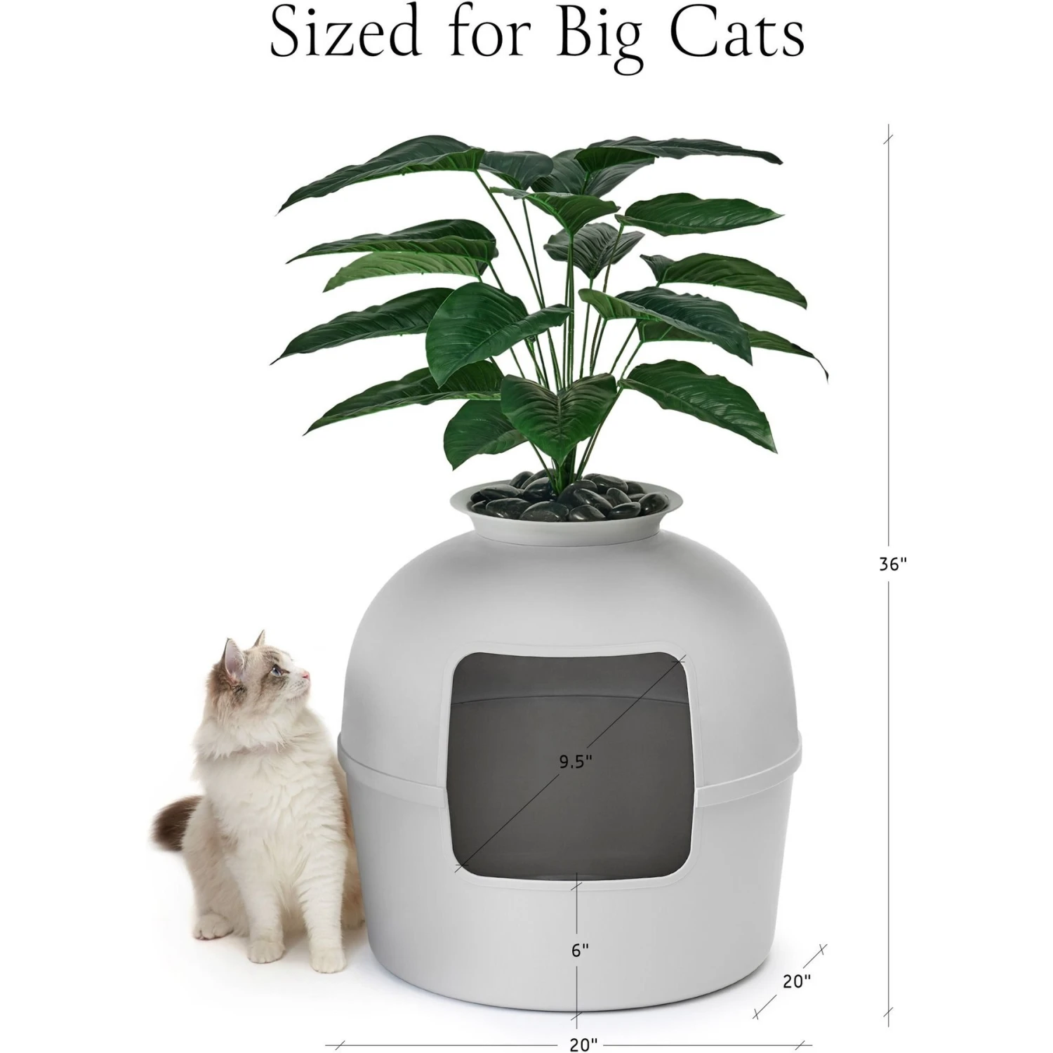 Bundle & Bliss Secret Litter Box Hidden Cat Litter Box Plant 6 Bundle & Bliss Secret Litter Box Hidden Cat Litter Box Plant - Image 6