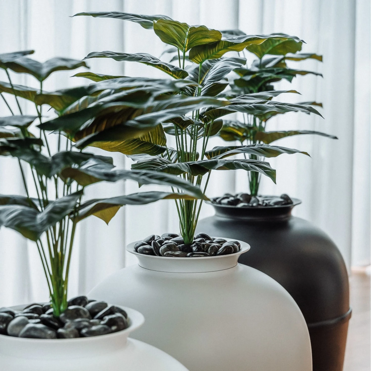 Bundle & Bliss Secret Litter Box Hidden Cat Litter Box Plant 9 Bundle & Bliss Secret Litter Box Hidden Cat Litter Box Plant - Image 9