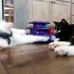 Quirky Kitty Three Layer Ball Track Cat Toy 7 Quirky Kitty Three Layer Ball Track Cat Toy -Pet Cat Supplies Store 900102 PT4. AC SS1800 V1689010871