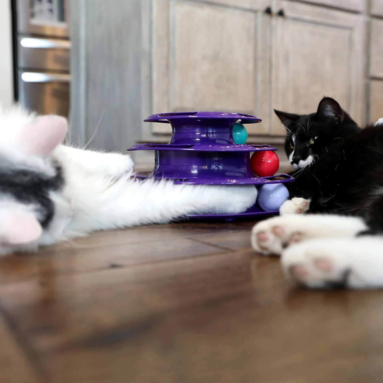 Quirky Kitty Three Layer Ball Track Cat Toy 4 Quirky Kitty Three Layer Ball Track Cat Toy - Image 4