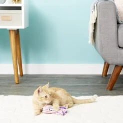 KONG CuteSeas Cat Toy -Pet Cat Supplies Store 91353 PT6. AC SS1800 V1603159590