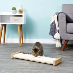SmartCat The Ultimate 32-in Sisal Cat Scratching Post & SmartCat Bootsie's Combination Scratcher 17 SmartCat The Ultimate 32-in Sisal Cat Scratching Post & SmartCat Bootsie's Combination Scratcher -Pet Cat Supplies Store 933614 PT8. AC SS1800 V1692304039
