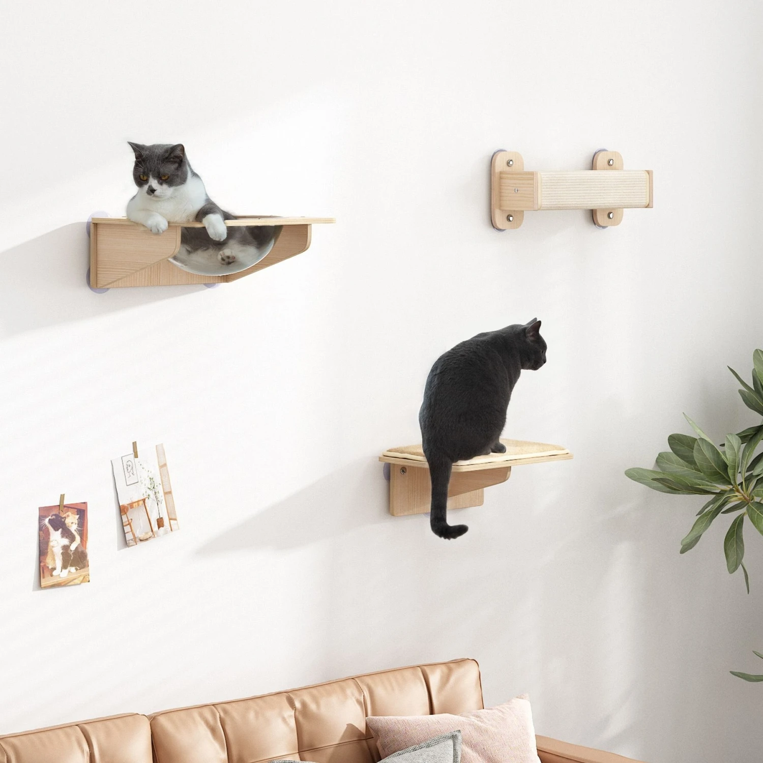Coziwow 3 Pieces Wall Mounted Cat Perch Set 2 Coziwow 3 Pieces Wall Mounted Cat Perch Set - Image 2