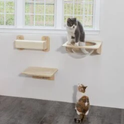 Coziwow 3 Pieces Wall Mounted Cat Perch Set 14 Coziwow 3 Pieces Wall Mounted Cat Perch Set -Pet Cat Supplies Store 941694 PT5. AC SS1800 V1700859193