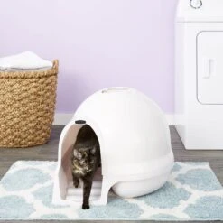 Booda Dome Cleanstep Litter Box & Petmate Booda Litter Box Charcoal Air Filters -Pet Cat Supplies Store 947510 PT4. AC SS1800 V1693925089