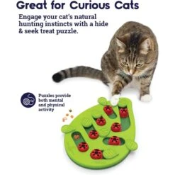 Nina Ottosson By Outward Hound Buggin' Out Puzzle & Play Cat Toy & Doc & Phoebe's Cat Co. Indoor Hunting Cat Feeder Kit -Pet Cat Supplies Store 947542 PT4. AC SS1800 V1693925091