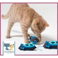 Nina Ottosson By Outward Hound Buggin' Out Puzzle & Play Cat Toy & Doc & Phoebe's Cat Co. Indoor Hunting Cat Feeder Kit -Pet Cat Supplies Store 947542 PT8. AC SS1800 V1693600221