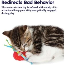 Catstages Fresh Breath Mint Stick Cat Chew Toy & Catstages Dental Kitty Chew Wheel Cat Chew Toy -Pet Cat Supplies Store 961990 PT8. AC SS1800 V1694784008