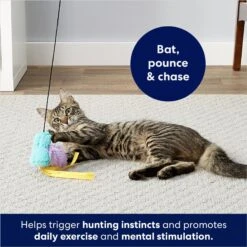 Frisco Squirrel Plush Cat Toy With Refillable Catnip & Frisco Bird With Feathers Teaser Wand Cat Toy With Catnip -Pet Cat Supplies Store 962030 PT8. AC SS1800 V1694783953