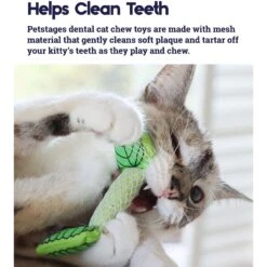 Catstages Dental Banana Cat Chew Toy With Catnip & Catstages Fresh Breath Mint Stick Cat Chew Toy -Pet Cat Supplies Store 962038 PT7. AC SS1800 V1694783953