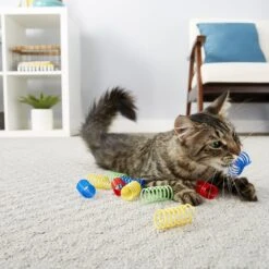 Frisco Colorful Springs Cat Toy & Frisco Bird With Feathers Teaser Wand Cat Toy With Catnip -Pet Cat Supplies Store 962126 PT4. AC SS1800 V1694782923